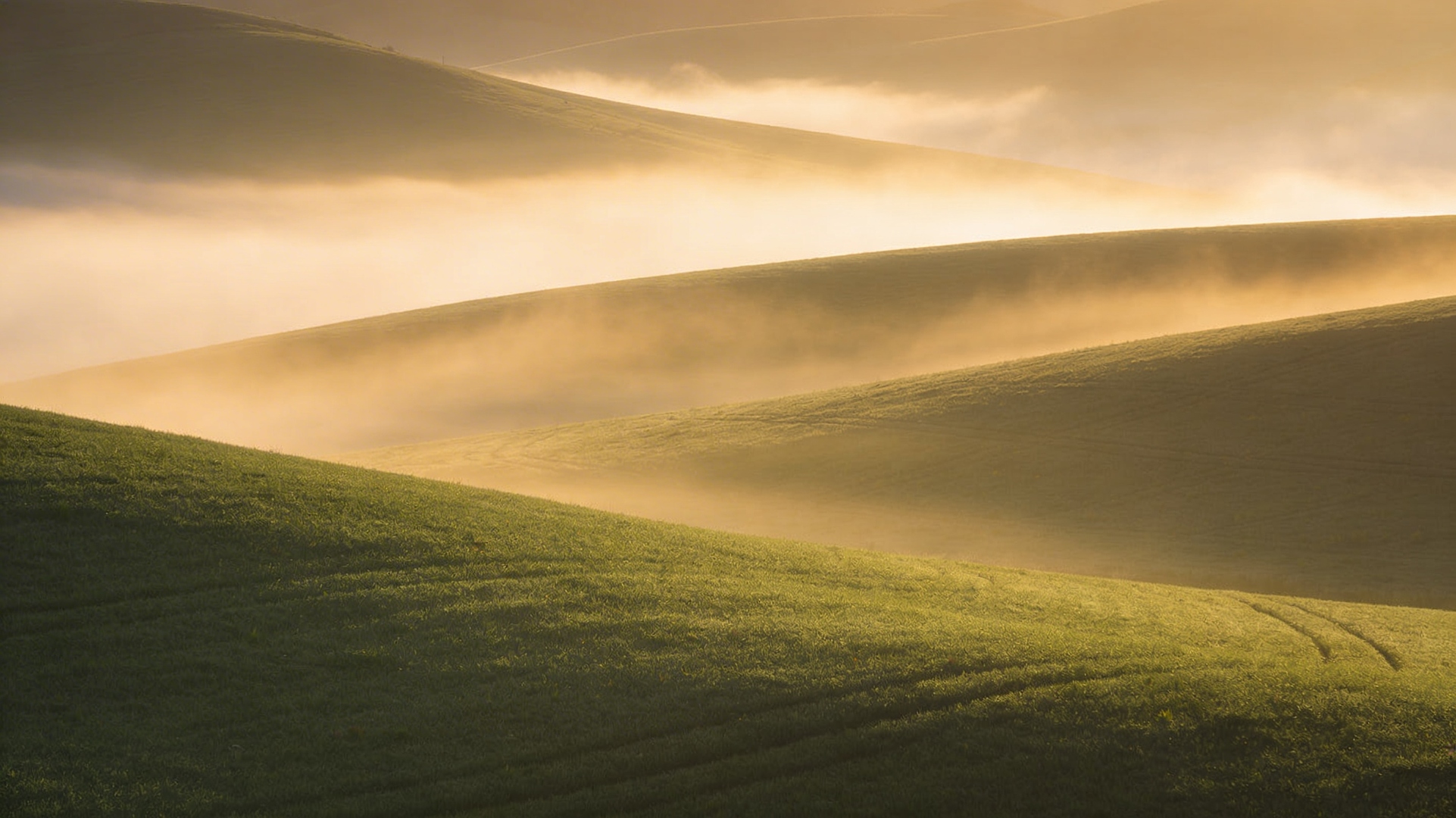 Soft rolling hills in warm morning light